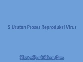 Urutan-Proses-Reproduksi-Virus